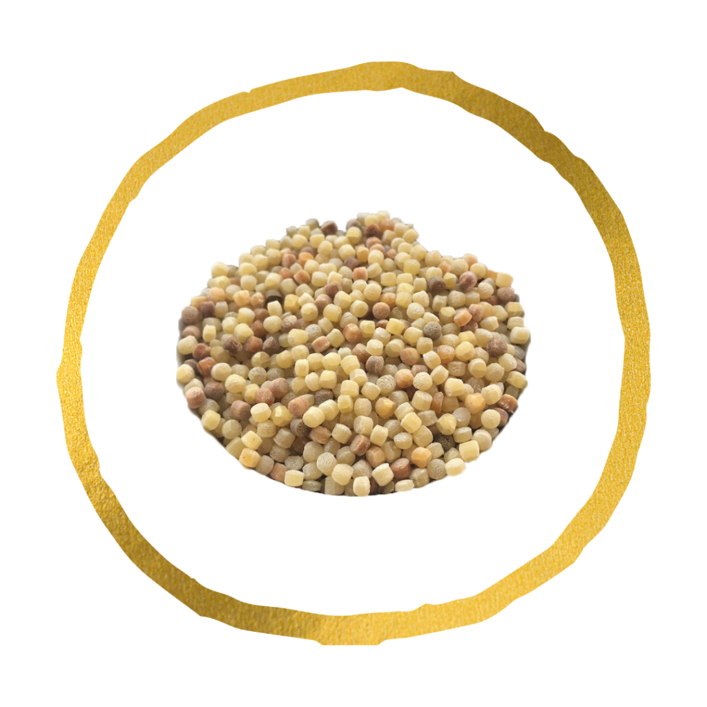 FREGOLA SARDA CON LE ARSELLE FREGOLA SARDA CON LE ARSELLE