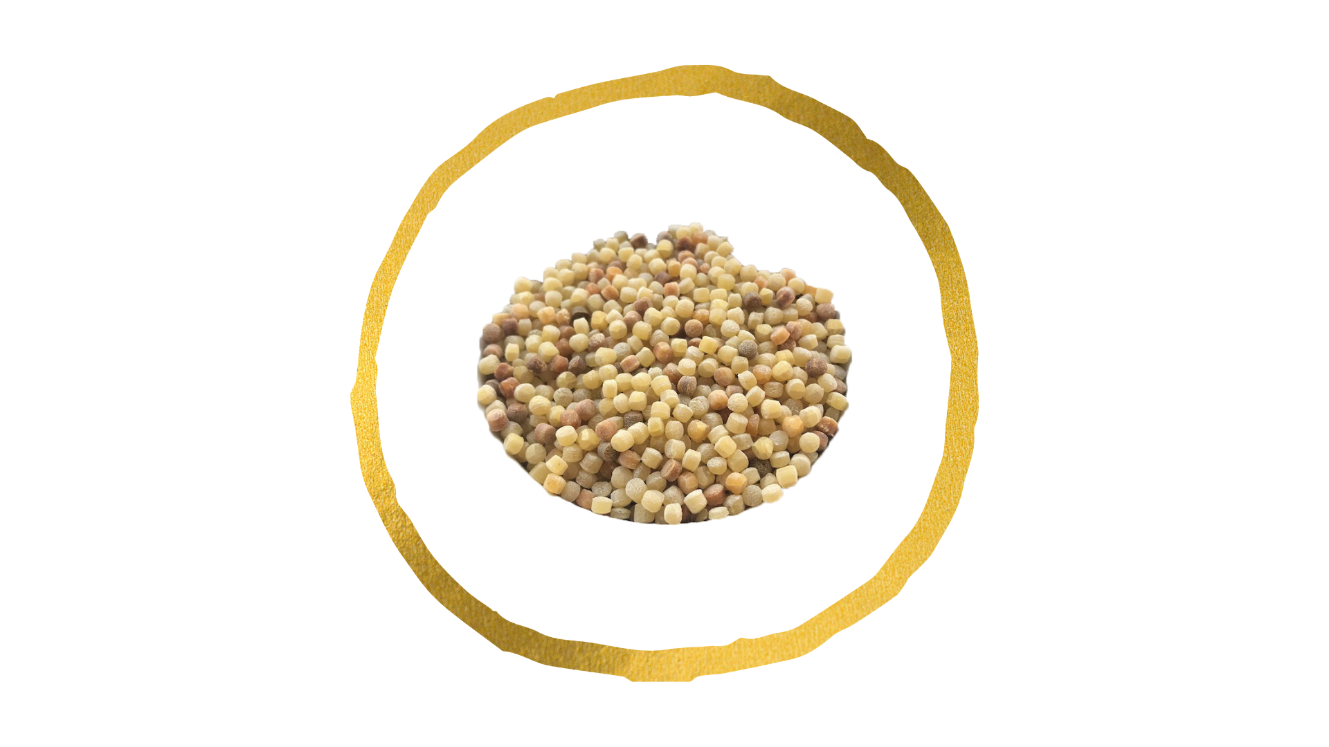 FREGOLA SARDA CON LE ARSELLE