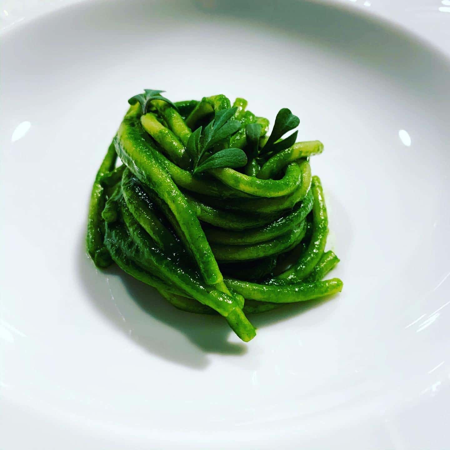 PASTA ERBA