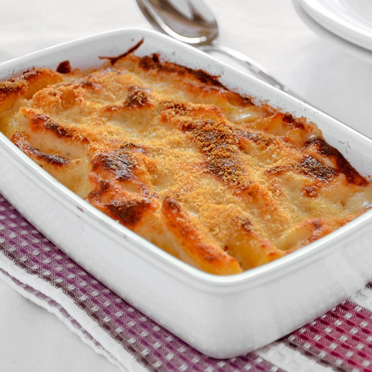 TORTIGLIONI AI QUATTRO FORMAGGI GRATINATI TORTIGLIONI AI QUATTRO FORMAGGI GRATINATI