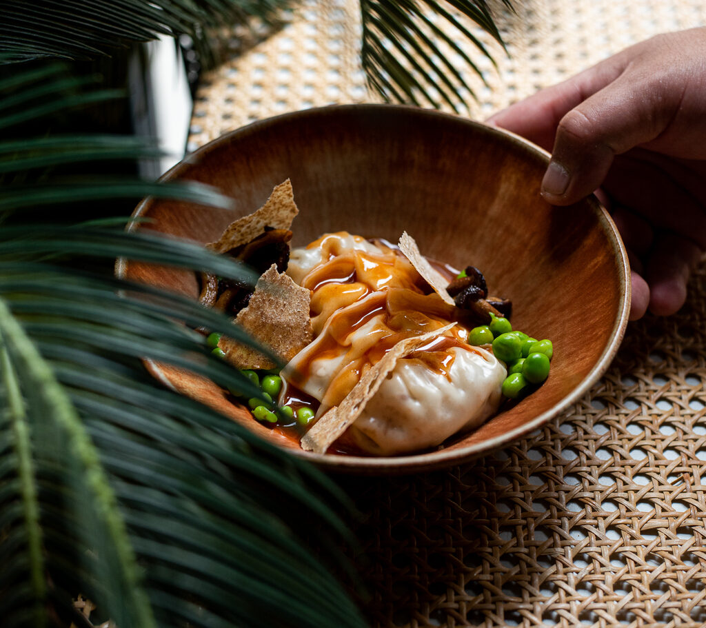 DUMPLINGS DI MAIALE – A.ROBLES DUMPLINGS DI MAIALE – A.ROBLES